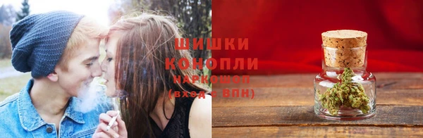 тгк Кукмор