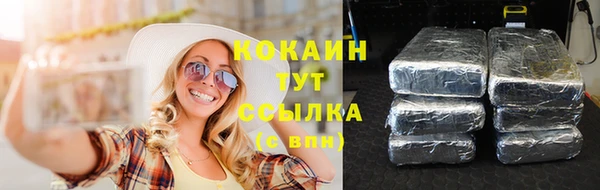 ешки Бердск