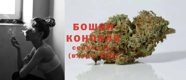 крисы Кулебаки