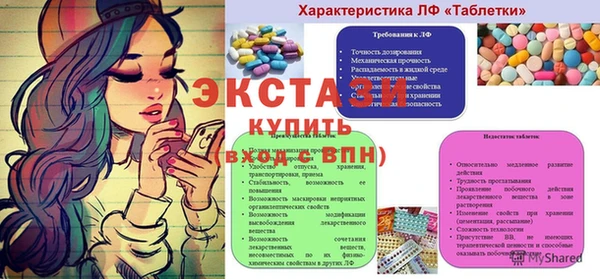 крисы Кулебаки