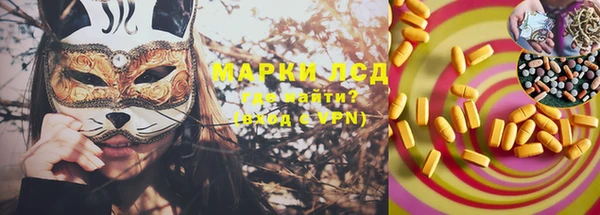крисы Кулебаки