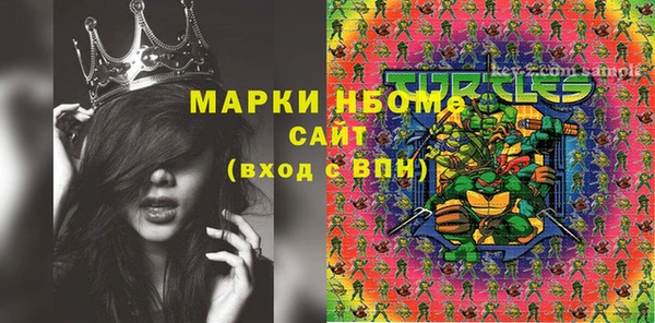 крисы Кулебаки