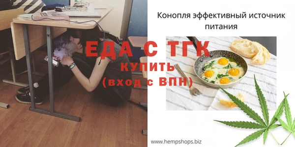 крисы Кулебаки