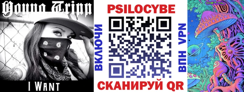 Псилоцибиновые грибы Cubensis  Ковдор 